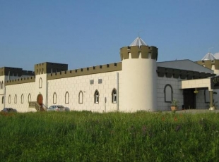 Zamek Camelot
